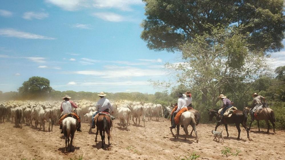 Pousada Fazenda Xaraes Todos os Santos Exterior foto