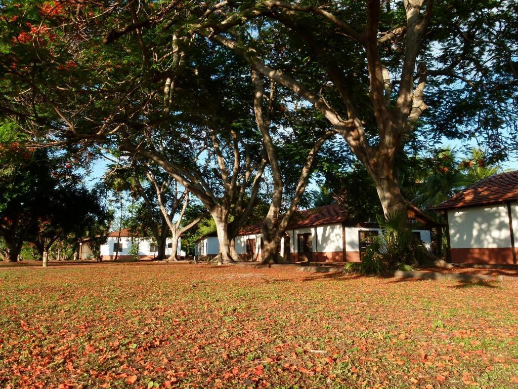 Pousada Fazenda Xaraes Todos os Santos Exterior foto